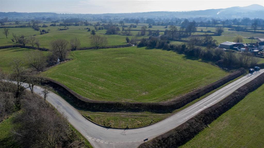 DJI 0444.jpg