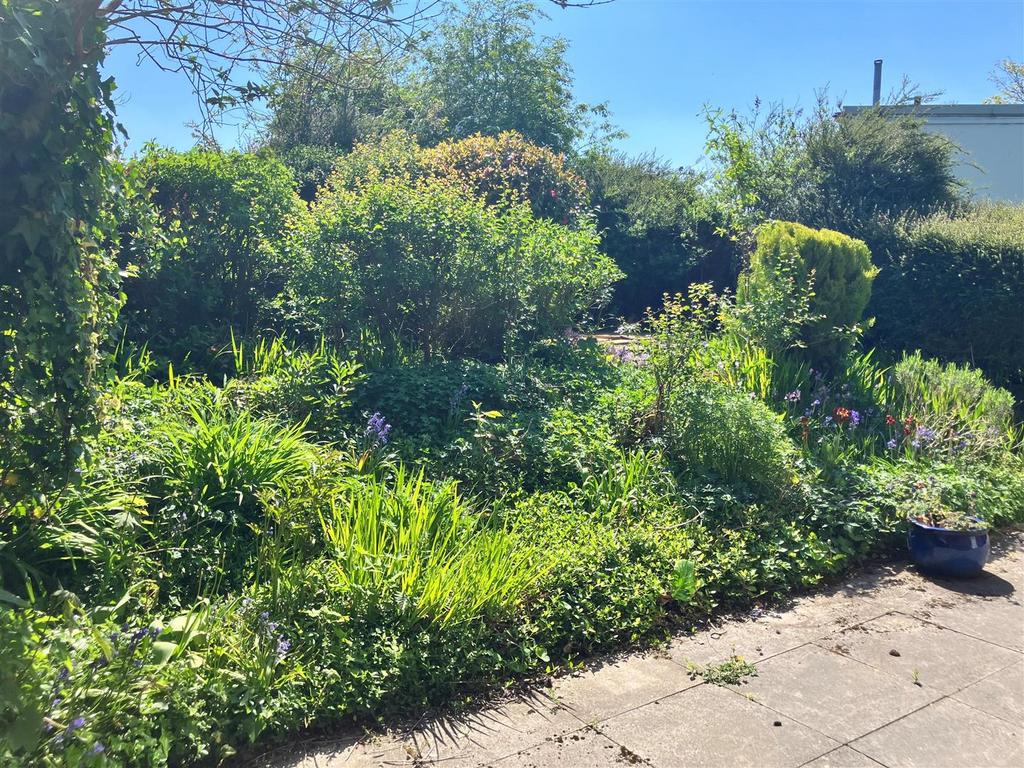 New rear garden.jpg