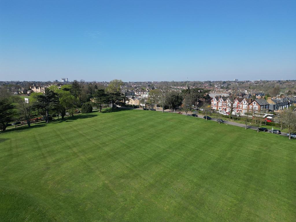 Communal Grounds