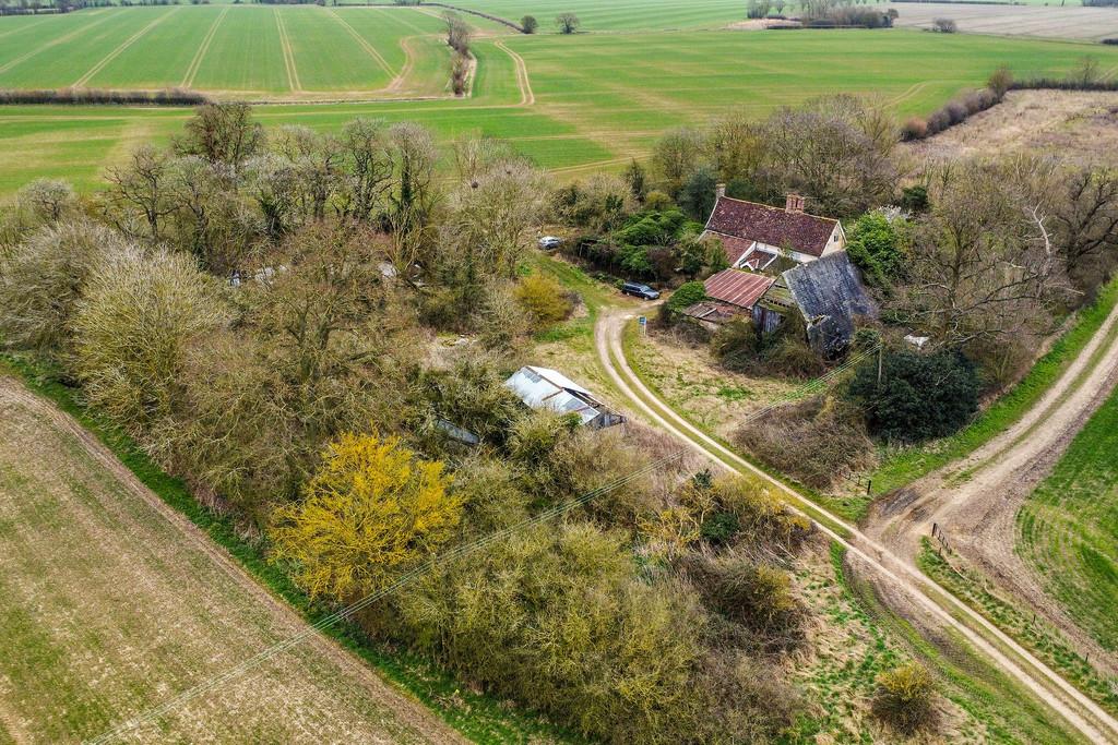 PT-DB(WP)-Oak Tree Farm-2