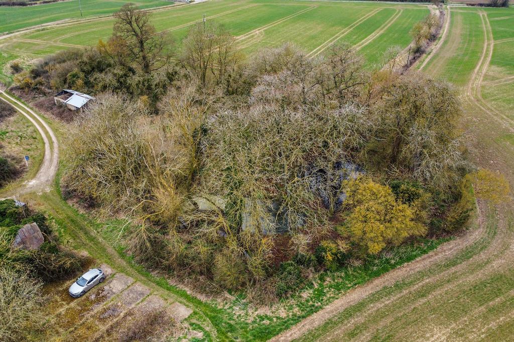 PT-DB(WP)-Oak Tree Farm-11
