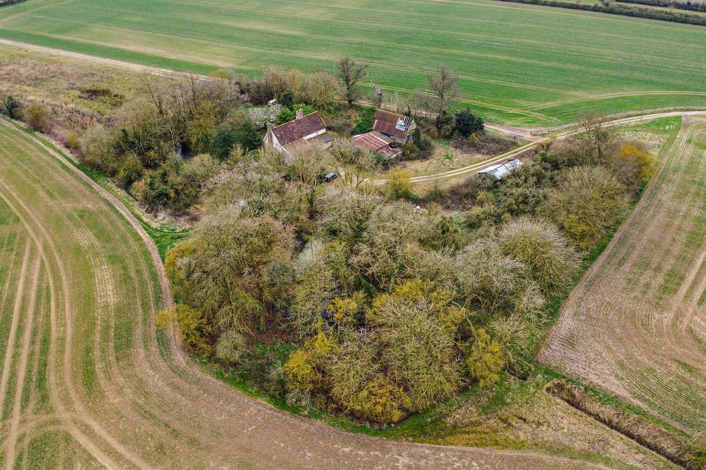 PT-DB(WP)-Oak Tree Farm-12
