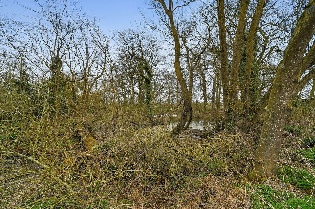 PT-DB(WP)-Oak Tree Farm-17
