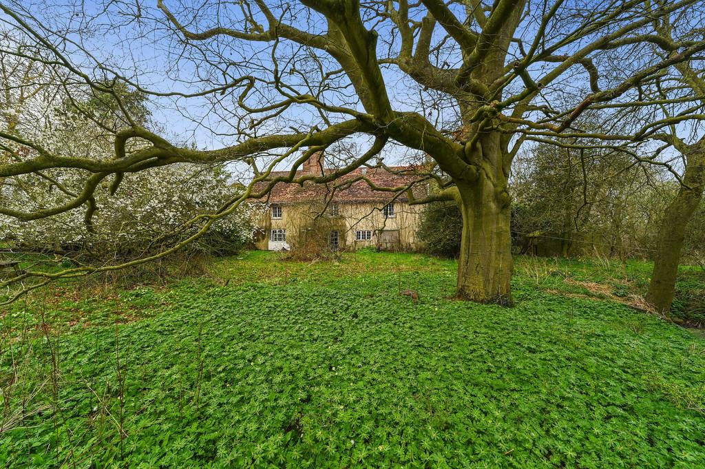 PT-DB(WP)-Oak Tree Farm-30
