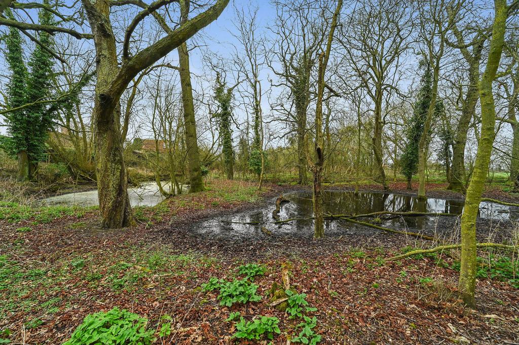 PT-DB(WP)-Oak Tree Farm-34