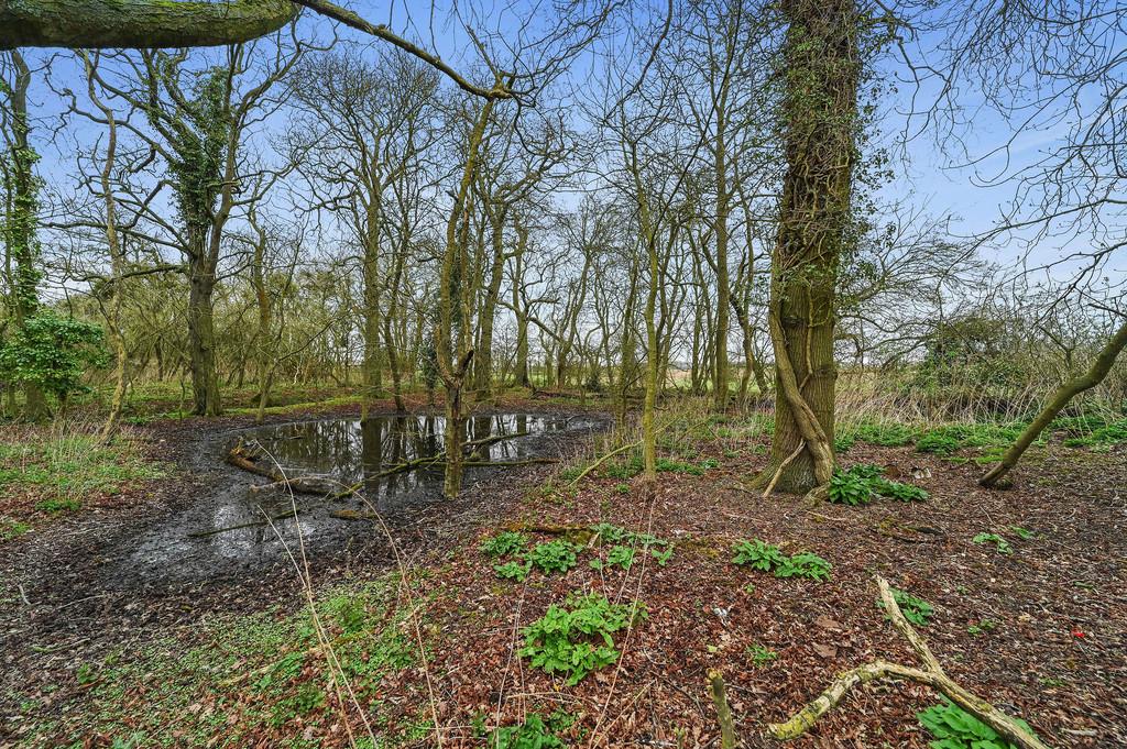 PT-DB(WP)-Oak Tree Farm-35