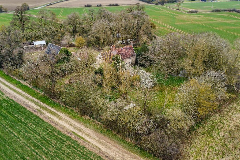 PT-DB(WP)-Oak Tree Farm-7