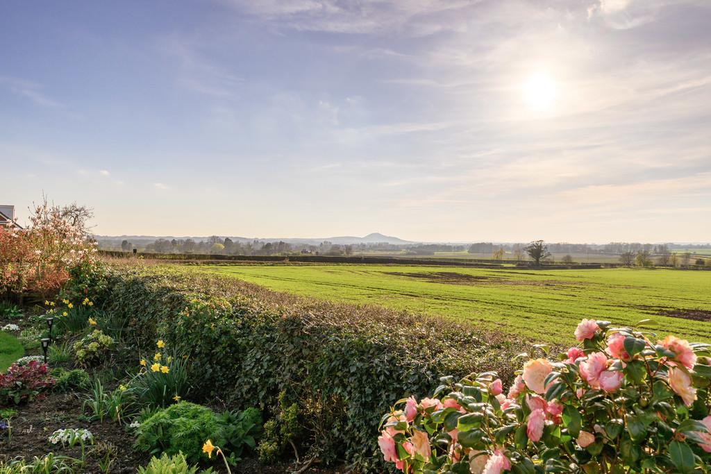 Countryside Views