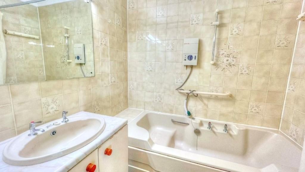 IMG 1252 7 large Smooth 3