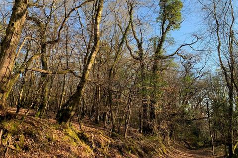 Farm land for sale, Kennford, Exeter