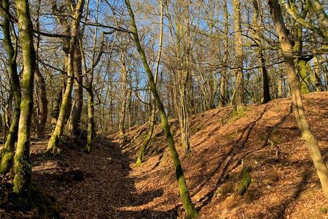 Farm land for sale, Kennford, Exeter