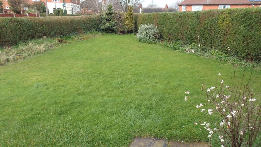 Side garden