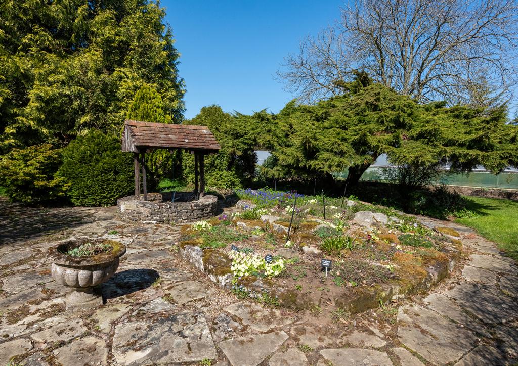 Rock Garden