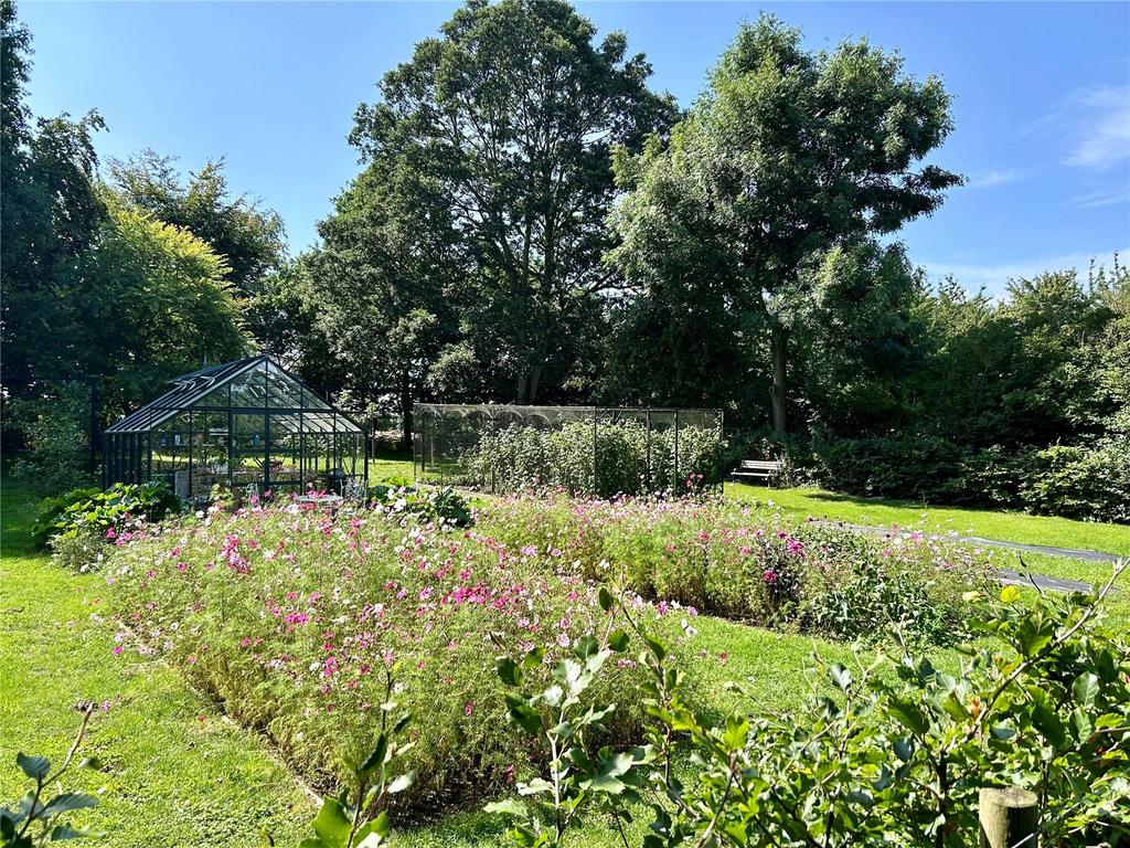 Kitchen Garden