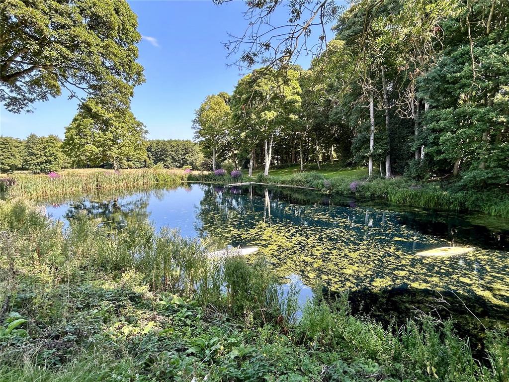 Pond