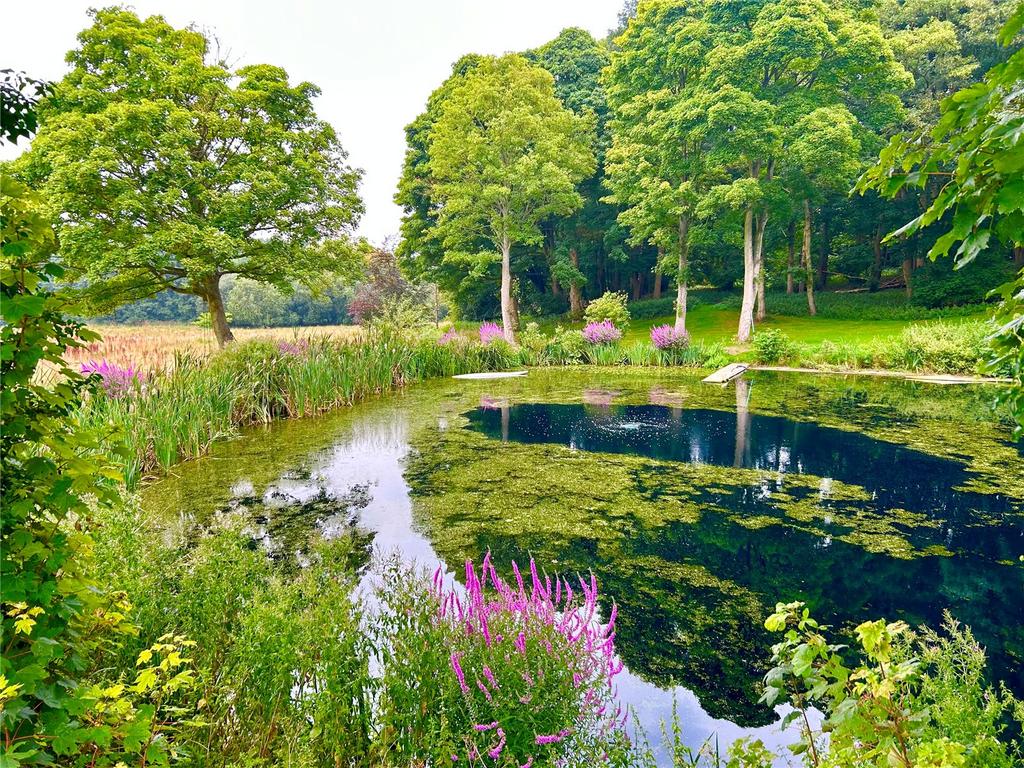 Pond