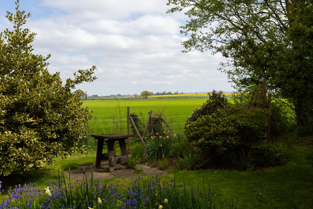 Views From Garden