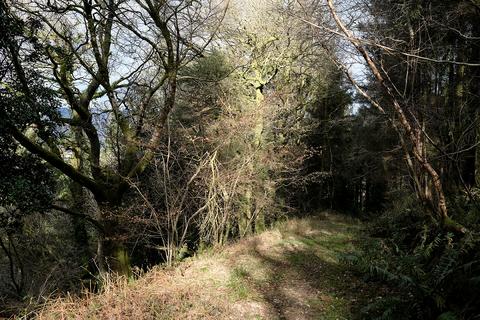 undefined, Cutcombe Hill, Cutcombe TA24