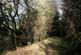 Cutcombe Hill, Cutcombe TA24