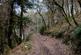 Cutcombe Hill, Cutcombe TA24 photo 3