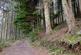Cutcombe Hill, Cutcombe TA24 photo 4