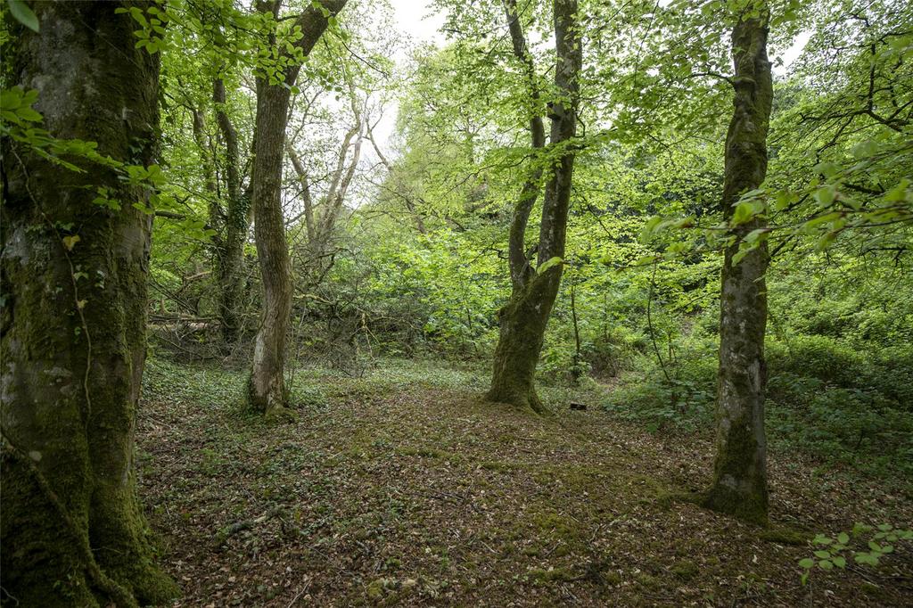 Picture No. 65