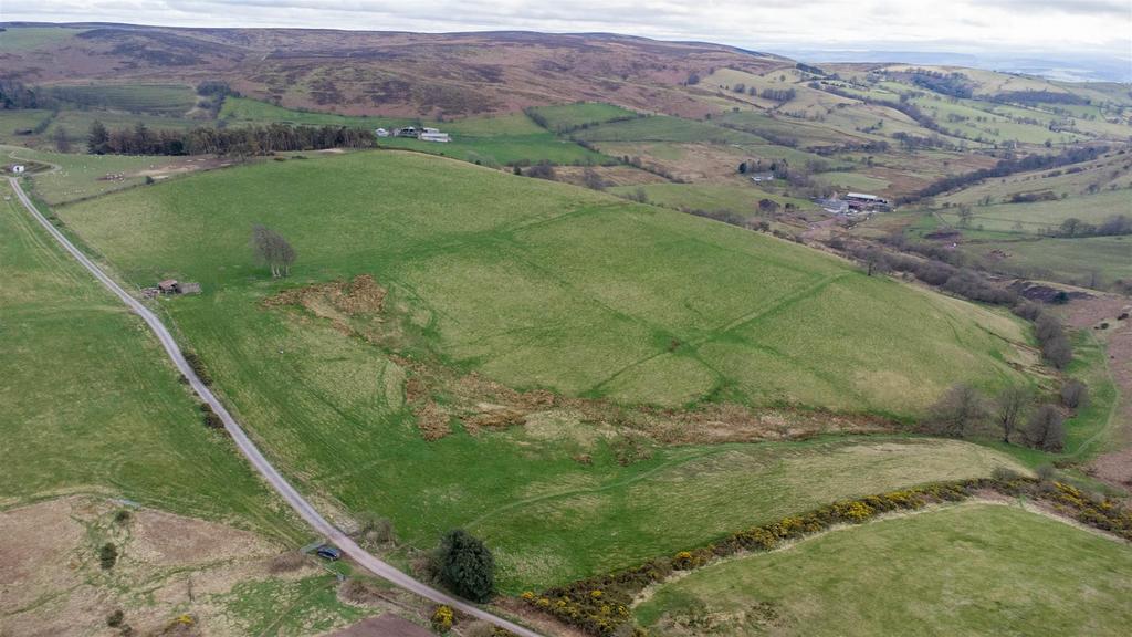 DJI 0544.jpg