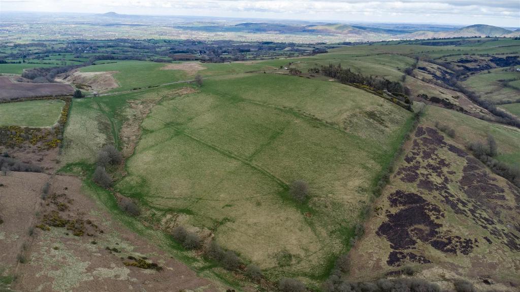 DJI 0546.jpg