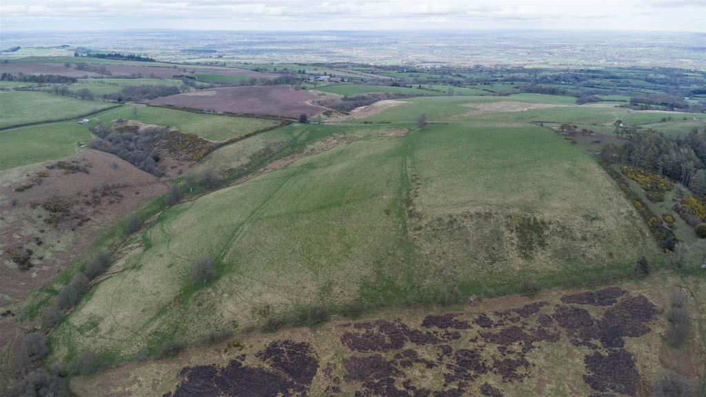 DJI 0548.jpg