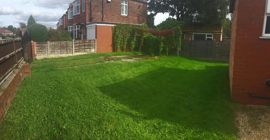 Back garden