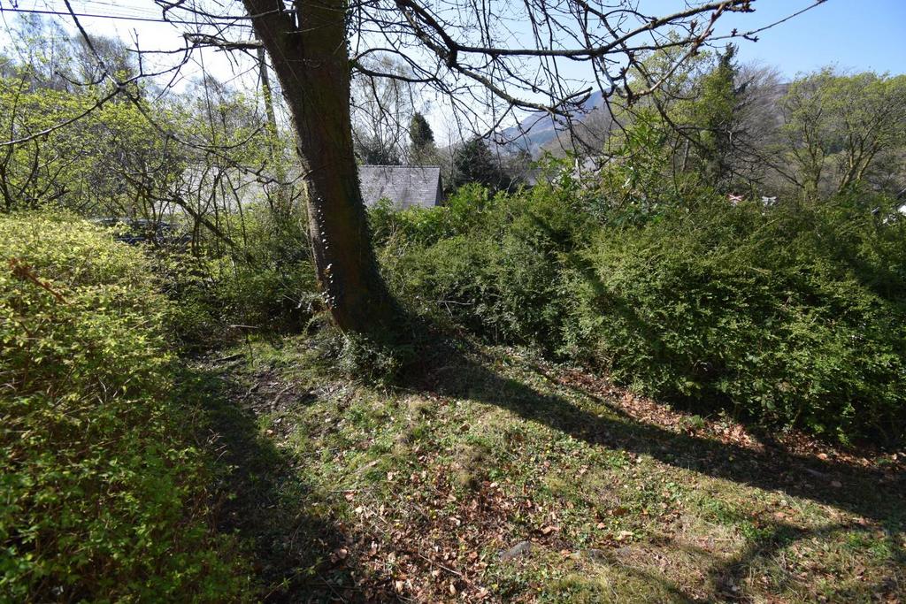Front Garden.JPG