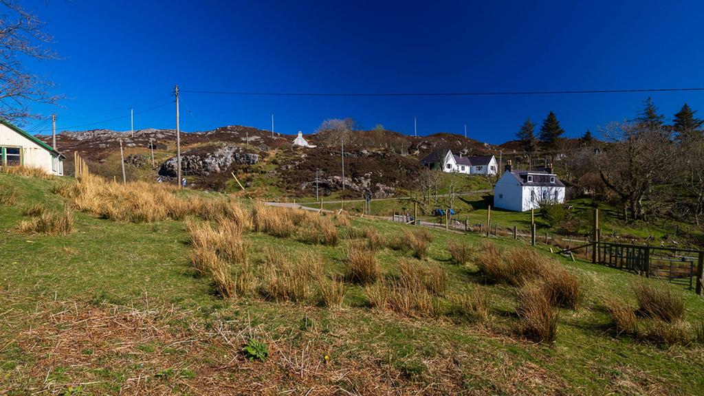 MFL0242729 624.jpg