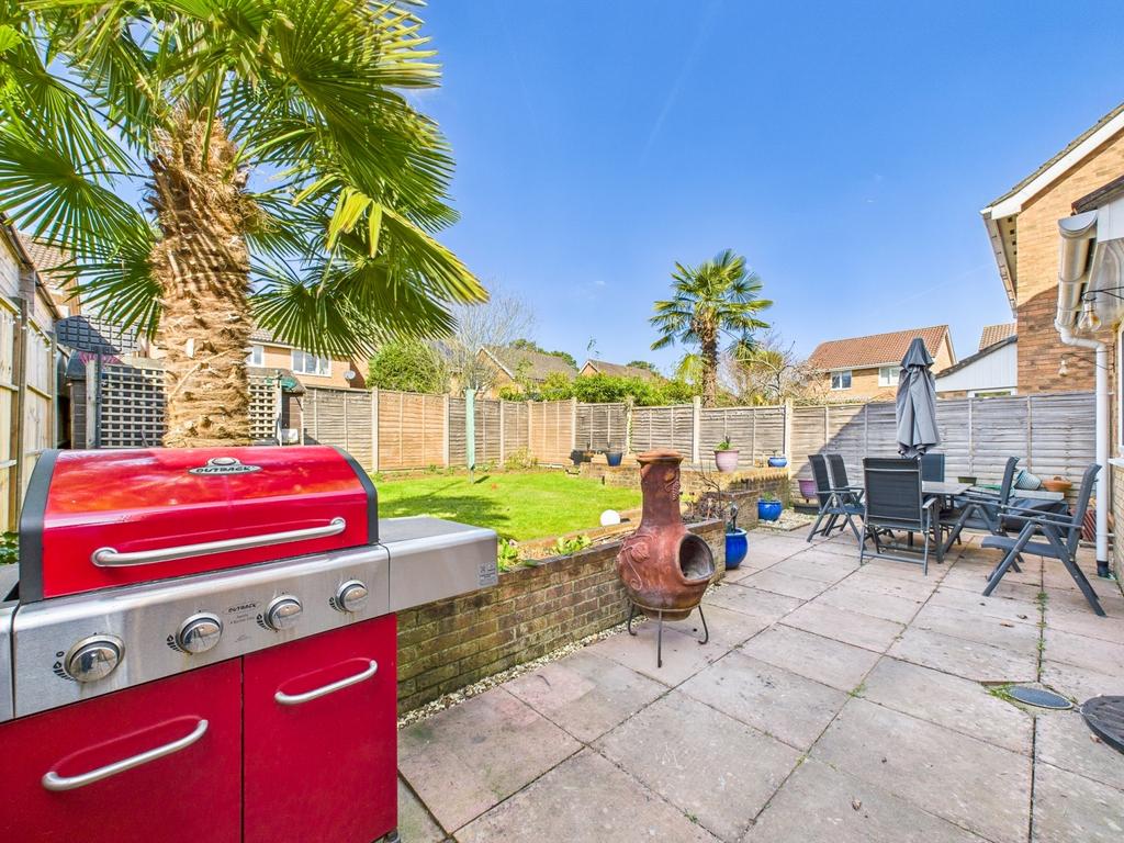 Back Garden