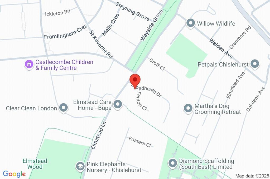 Google Maps Image