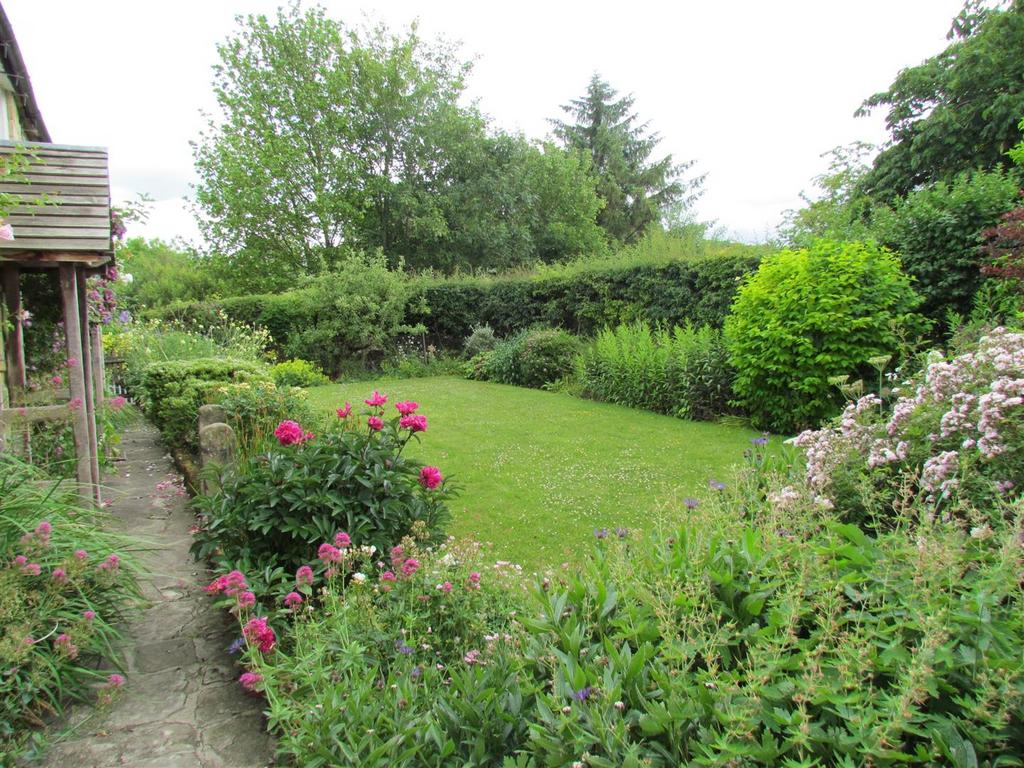 Img 0515.jpg