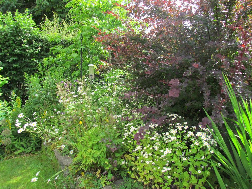 Img 0507.jpg