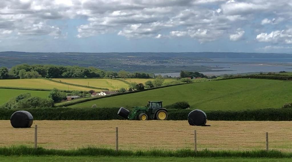 Views to Estuary
