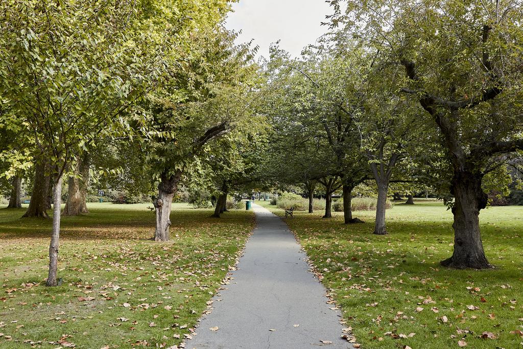 142990 - 220928 TMH 24 A Lewisham Park, London H...