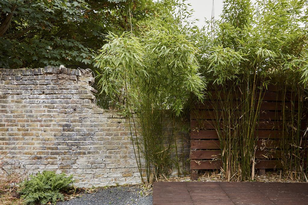 143028 - 220928 TMH 24 A Lewisham Park, London H...