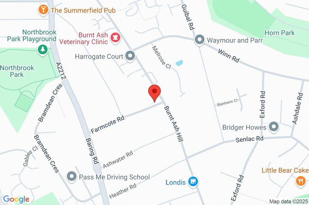 Google Maps Image