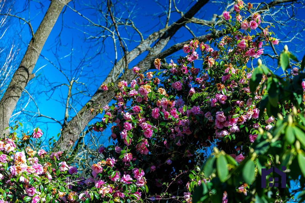 Lots of colour