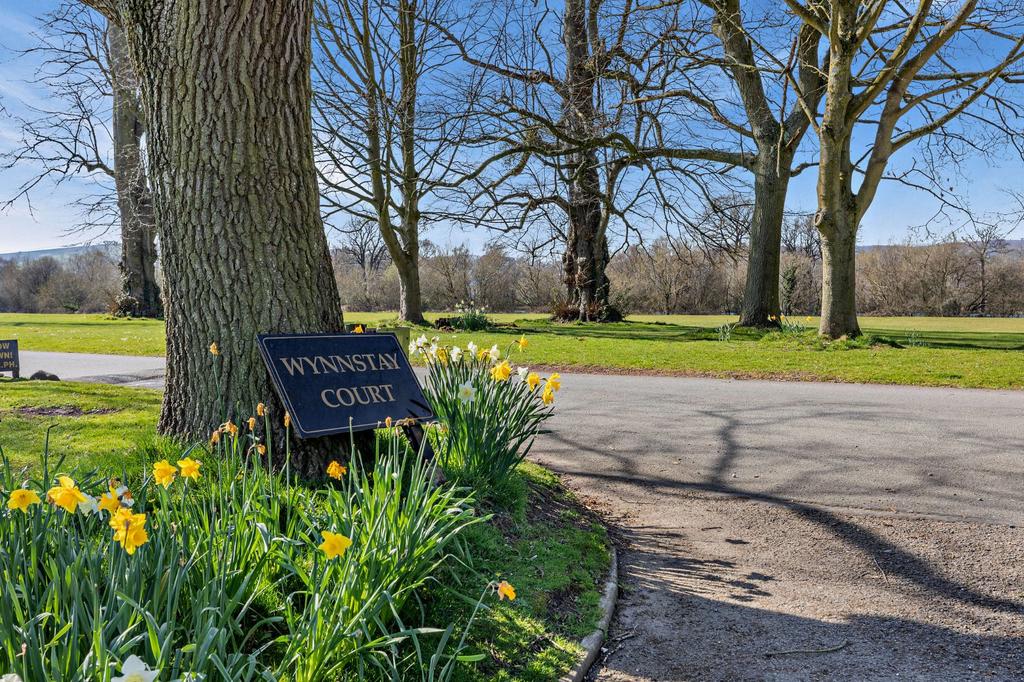 Grounds