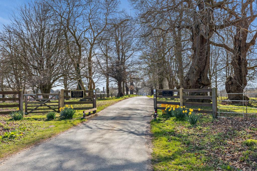 Grounds