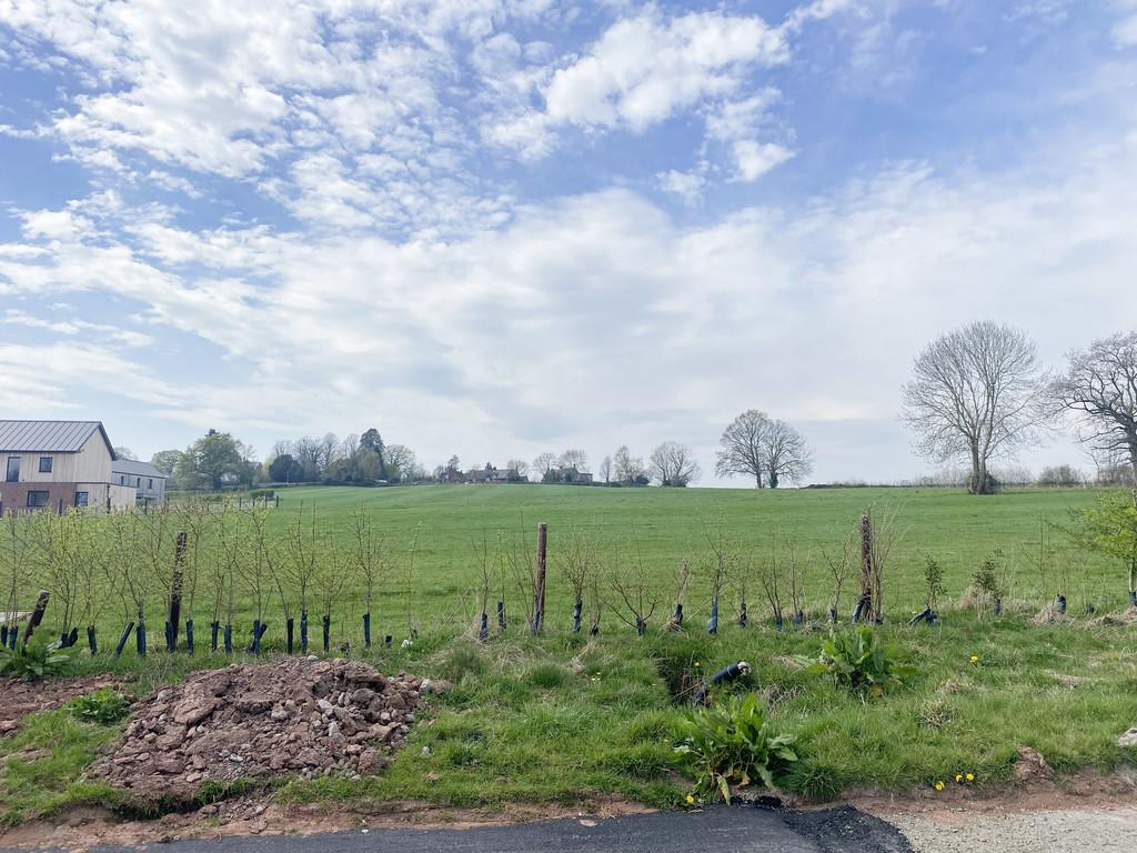 The view from the plot