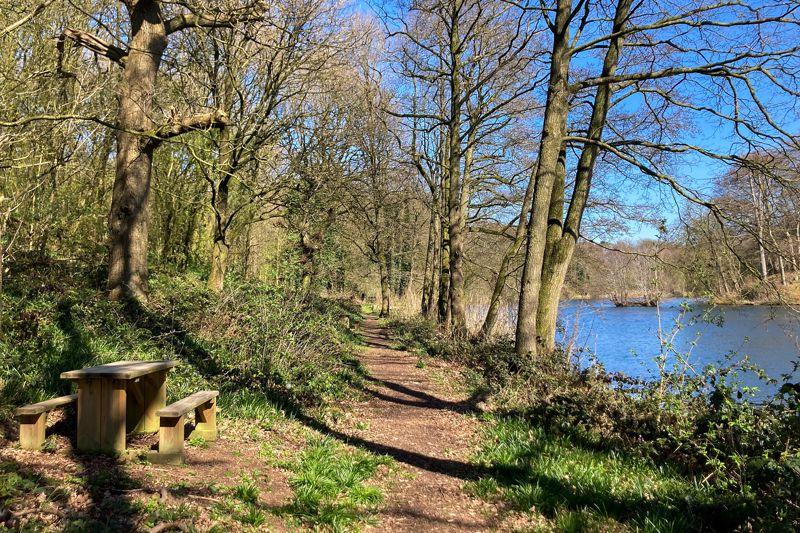 Woodland