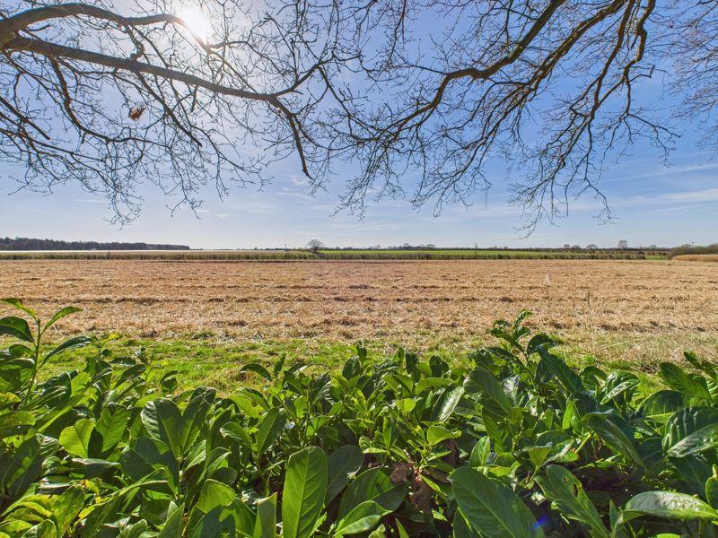 Rural Views