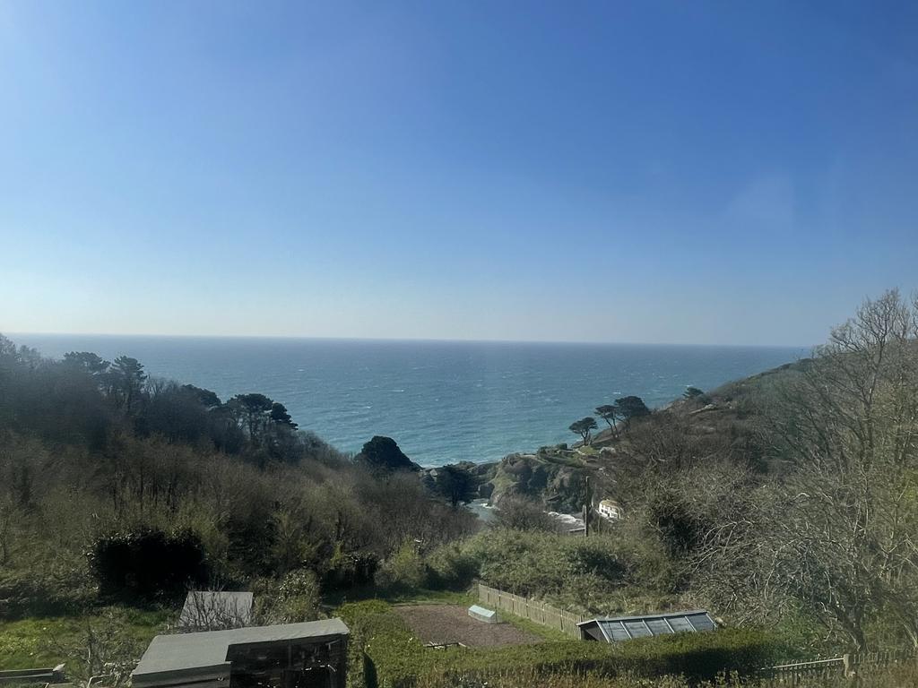 Img 0290 (1)
