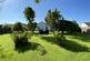 Image00006.jpeg