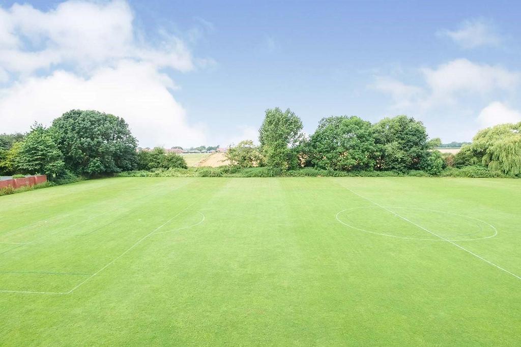 Field View