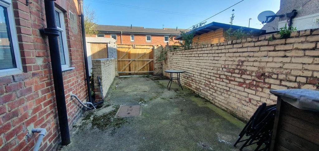 Back Yard.jpg